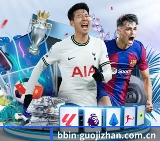 BBIN体育 APP 界面