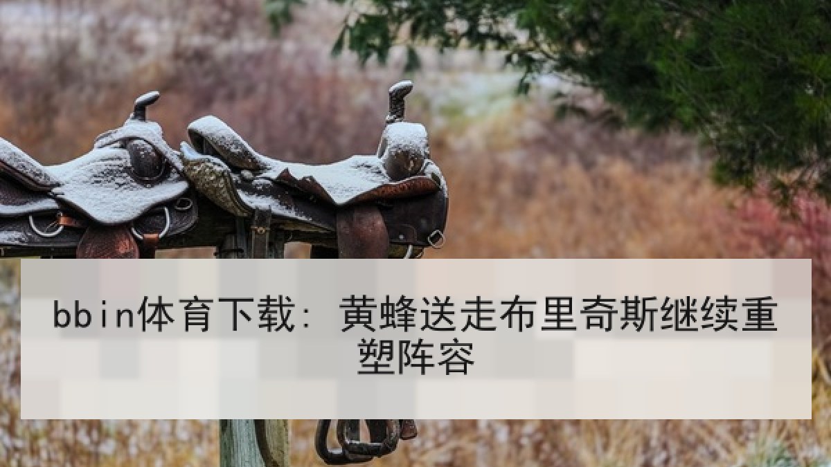 bbin体育下载: 黄蜂送走布里奇斯继续重塑阵容